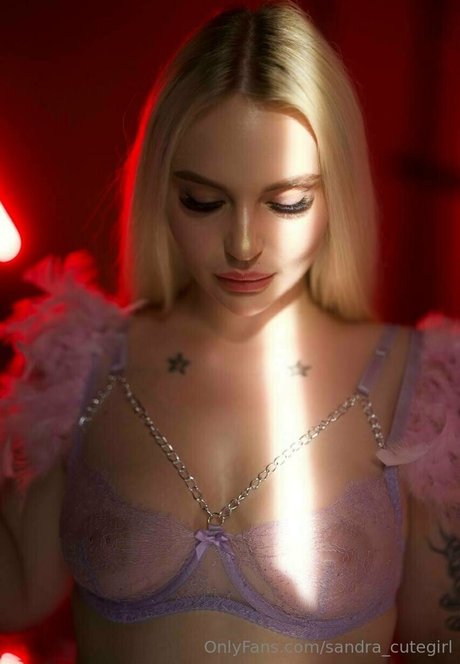 misss sandra vip model top image