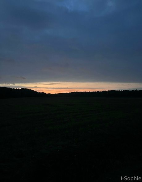 i sophie free pornstar images