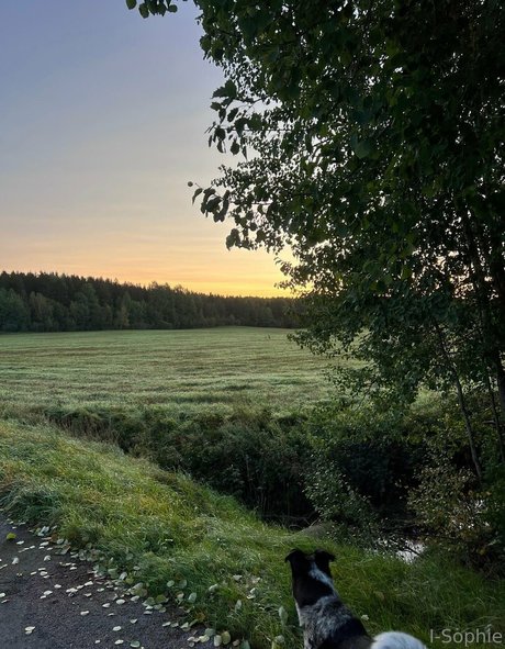 i sophie perfect actress gallery