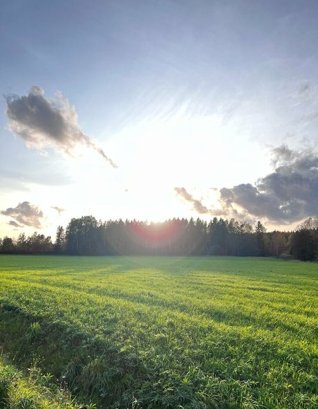 i sophie adult model pictures