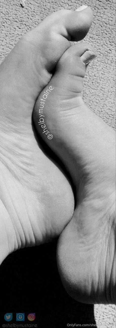 shelbymustaine star free photo