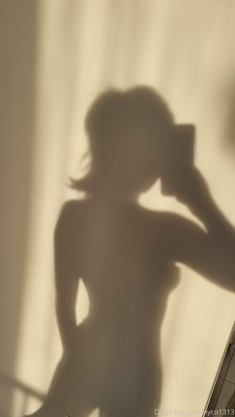 nyco1313 hd model img