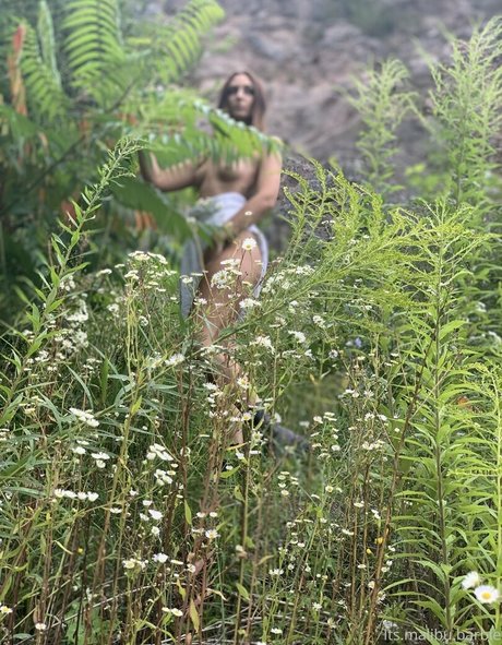 malibu barbie xx star hot photos