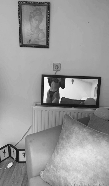 malibu barbie xx nudes model images