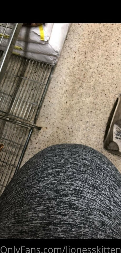 lionesskitten Profile photo