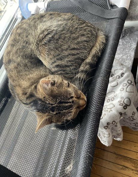 clara dee nude star images