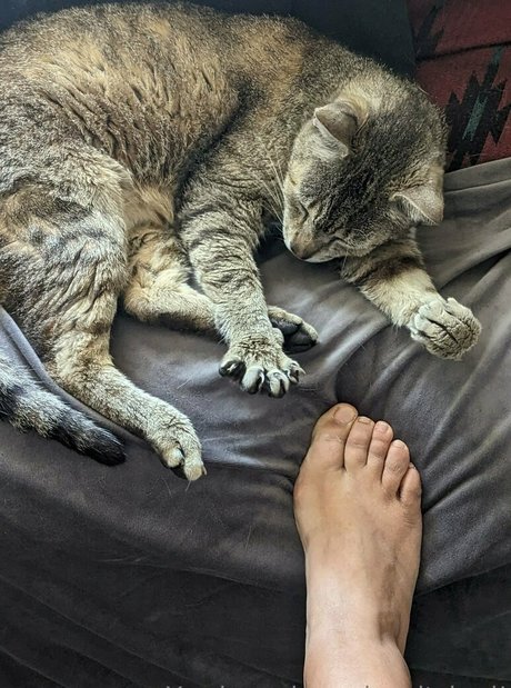 gay young onlyfans art porn photos