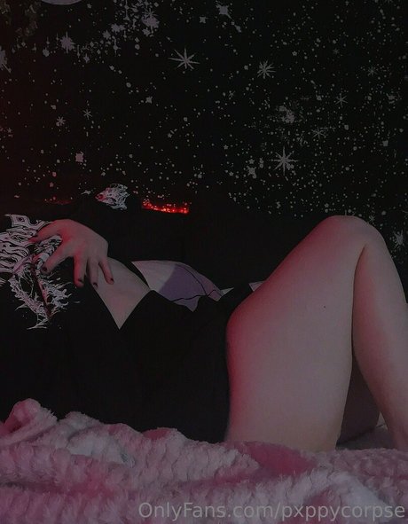 pxppycorpse erotic pornstar galleries
