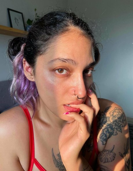 fe lina art model galleries