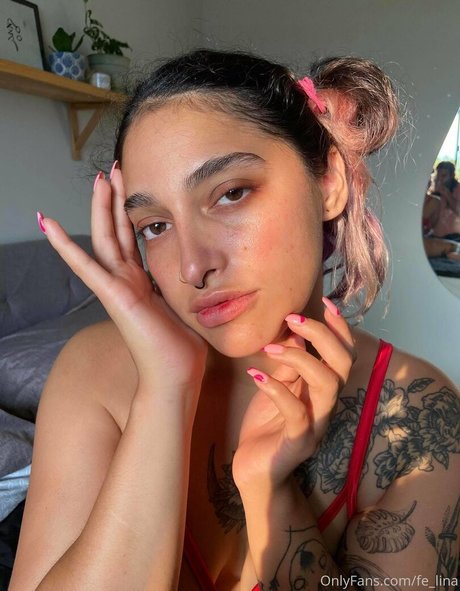 fe lina nice star gallery