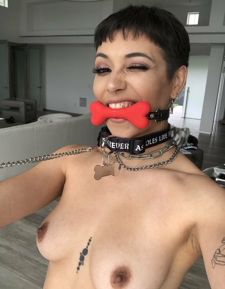 brooklyngrayxxx pornstar adult pics