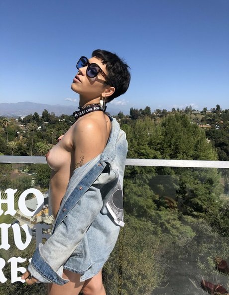 brooklyngrayxxx xxx actress archive