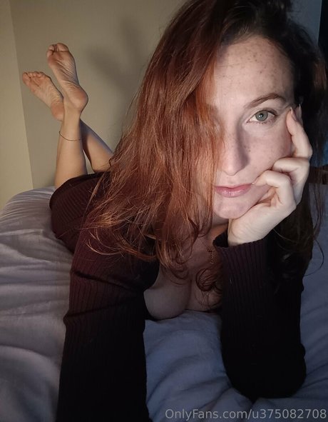 fullibologna3t hd star archive