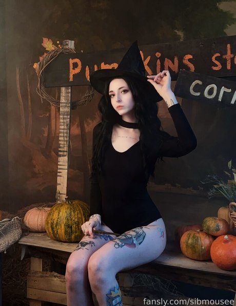 sibmouse star free archive