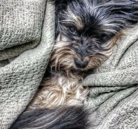 Nofar Froim nice star pictures