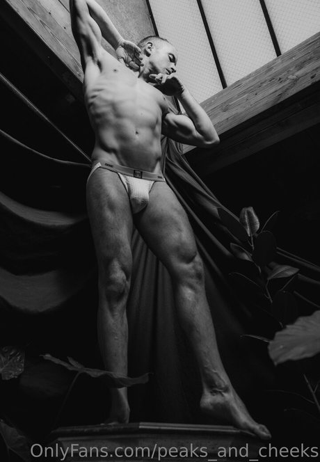 peaksandcheeks2 perfect actress gallery