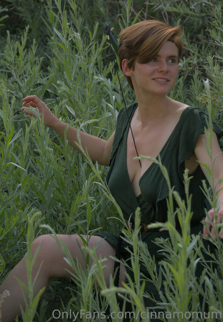 cinnamomum model hd pictures