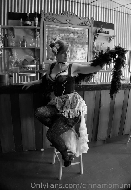 cinnamomum art model galleries