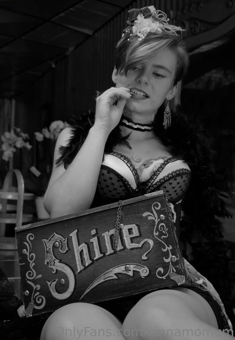 cinnamomum model top image