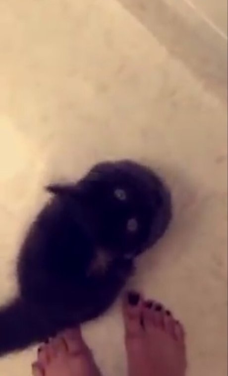 black onlyfans hot naked gallery