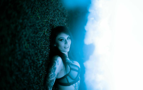 belladonna2 0 perfect star pics