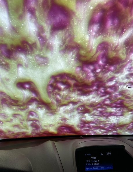 hurricanelexi top star archive