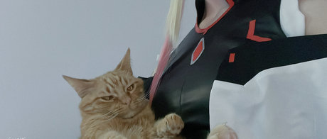 reitoozaru Quick photo