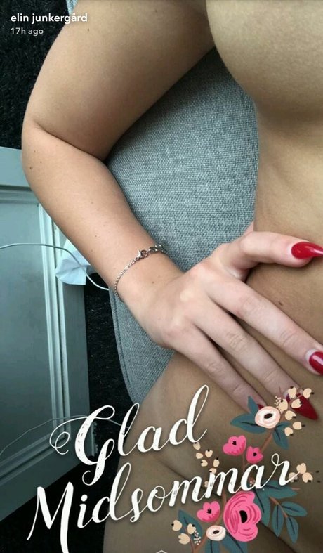 Elin Junkergard pornographic model img