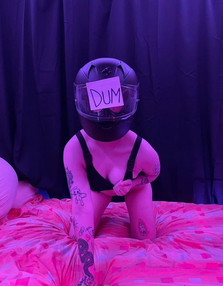 locororyfree star free galleries