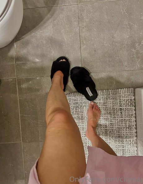 clomaj art star galleries