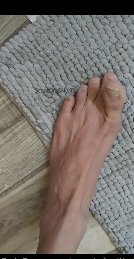 scentofasilkytoe xxx actress pictures