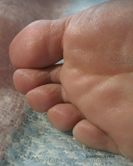 scentofasilkytoe star free picture