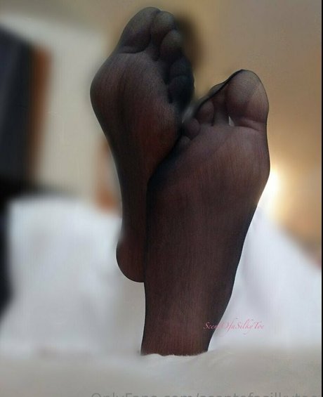scentofasilkytoe model hd pictures