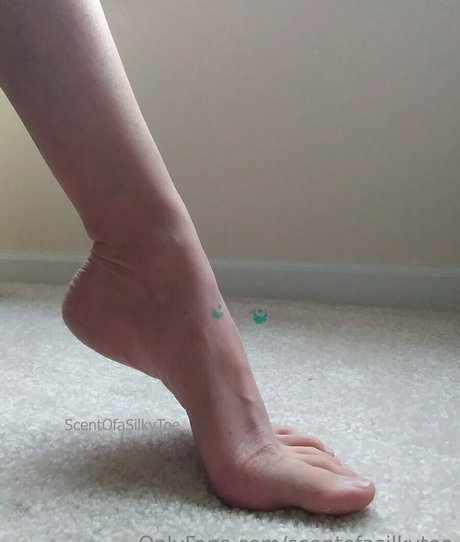 scentofasilkytoe star hd image