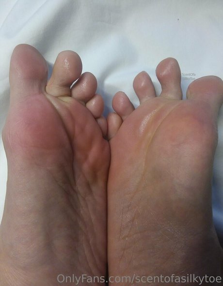 scentofasilkytoe porn actress pics