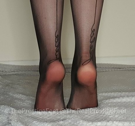 theprestigefeet top pornstar galleries