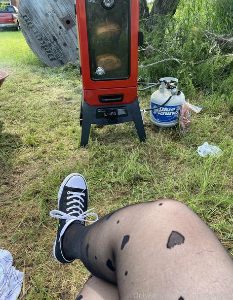 dizzykittenpaws best star photos