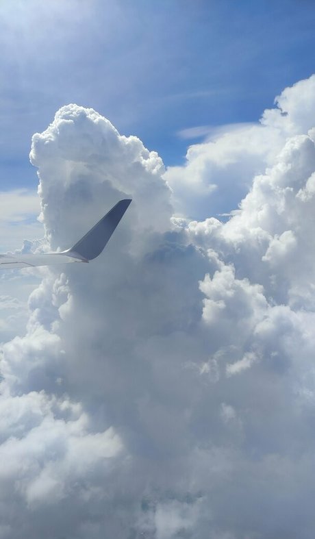 tasechka sexy actress img