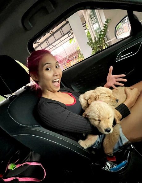 wildcmk high quality pornstar pictures