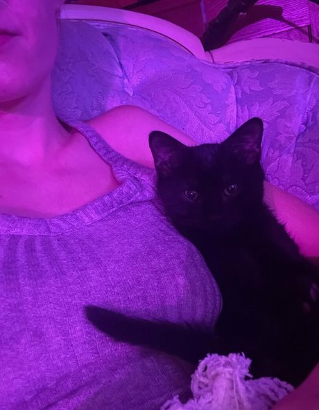 tattooed shemale onlyfans free xxx images