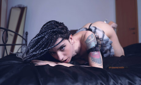 iamwarriorcat best star picture