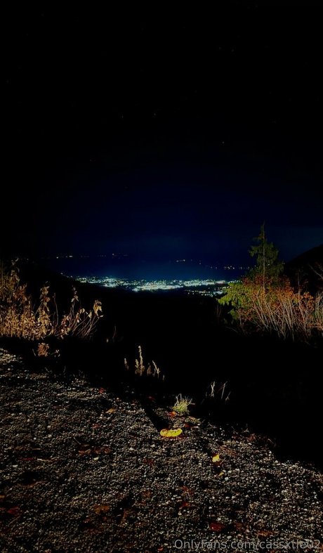 cybercllctr pornstar art pictures