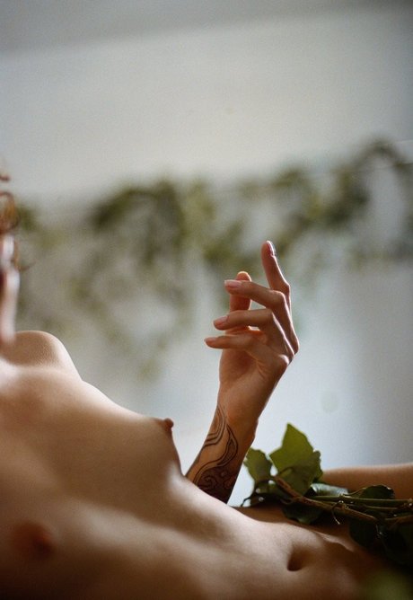 Heloisa Hecchio star pretty galleries