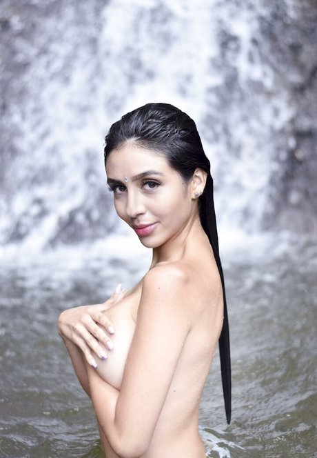 Celeste 1220 free model galleries