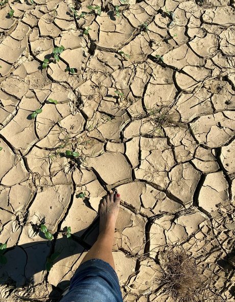 madam muriel star free picture