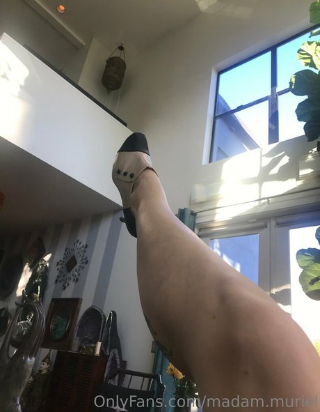 madam muriel top pornstar archive