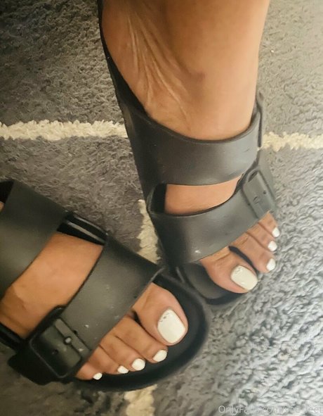 vee feet exclusive star gallery