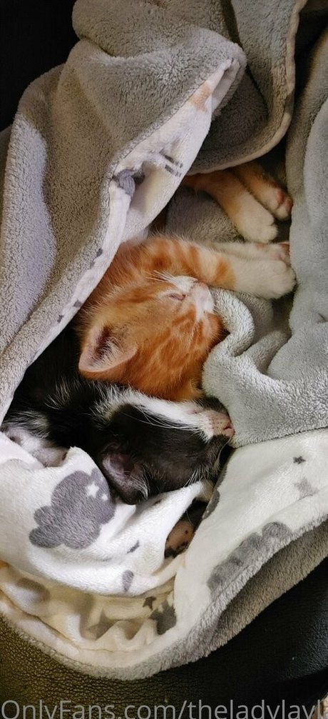 amateur bbw onlyfans beautiful naked image