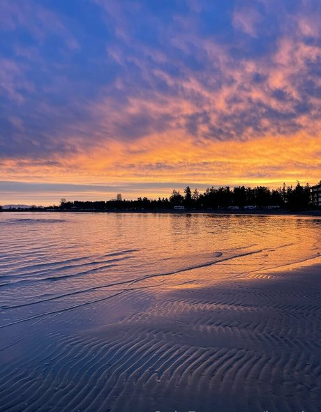 jnorthx model picture