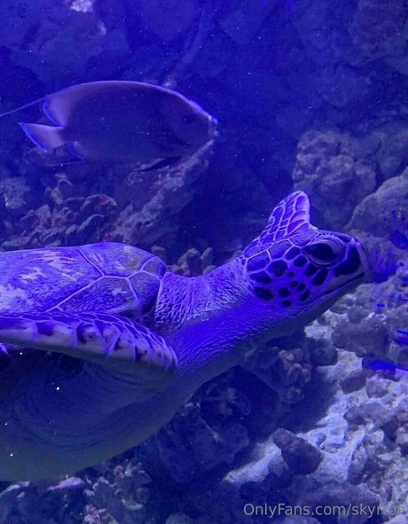 40 years old onlyfans nude photo